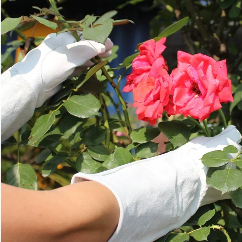 バラやサボテンの剪定用の耐刺傷性防水ガーデニンググローブ（ペ - Gardening Glove Waterproof のレビューと価格