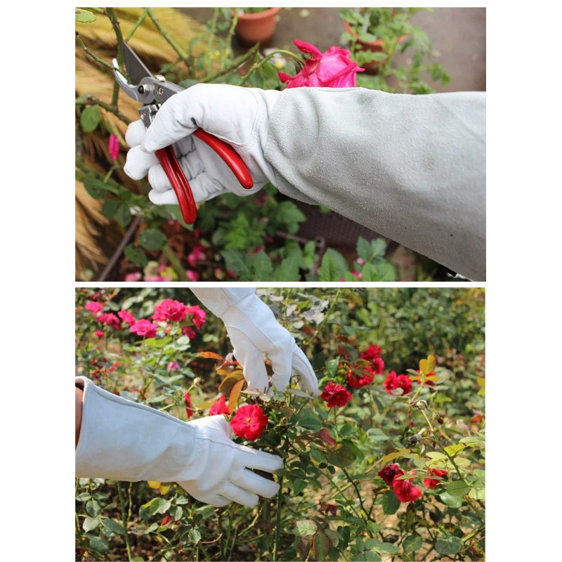 バラやサボテンの剪定用の耐刺傷性防水ガーデニンググローブ（ペ - Gardening Glove Waterproof のレビューと価格